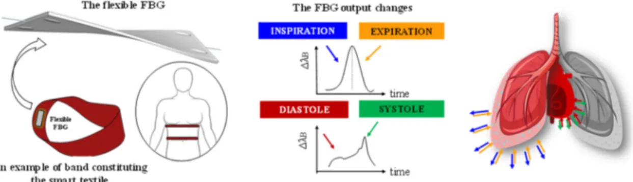 Figure 1. Schematic representation of the sensing element and the smart textile with typical FBG  output changes induced by breathing and heart beating