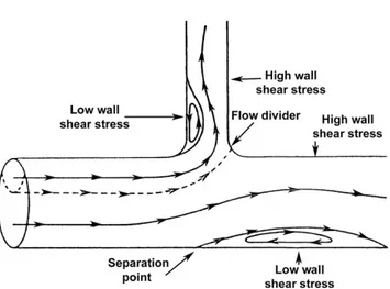 Fig. 2 Variations in flow at a 90  T-junction. The stream lines shown in the diagram were videorecorded in an experimental model in glass filled with a aqueous glycerol solution containing polystyrene microspheres (50 mm in diameter)
