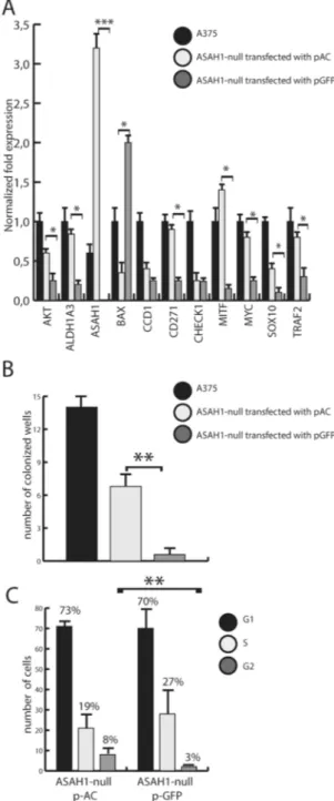 Figure 9.  AC transfection partially restores phenotype in AC-null A735 cells. (A) Real-Time PCR performed  2 days after transfection with pASAH1 shows, as expected, a strong over-expression of ASAH1 and a complete  recovery of ALDH1A3, BAX, CD271, MITF an
