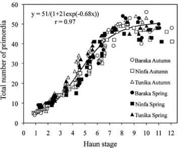 Fig. 2. Relationship between Haun stage and number of productive primordia formed on the main culm apex in the two-rowed barley varieties Baraka (A), Ninfa (B) and Tunika (C) sown in autumn and in spring