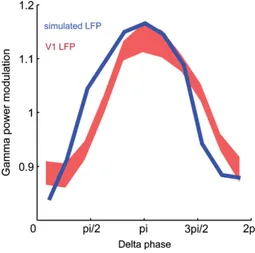 Fig. 8. Cross frequency phase-power coupling in experiment and simulations. The plot shows the modulation of gamma amplitude as a function of delta phase in the LFP recorded from primary visual cortex (red shaded area representing mean and SEM across recor