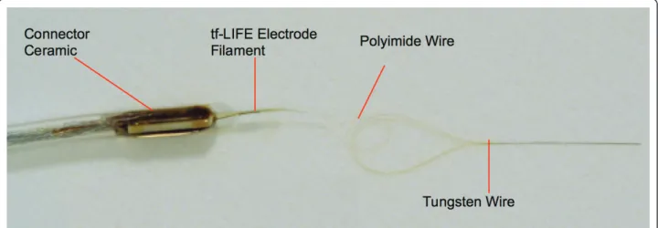 Figure 1 Picture and unfolded overview of tfLIFE (17). Total length: 60 mm. Length without pad areas: 50 mm