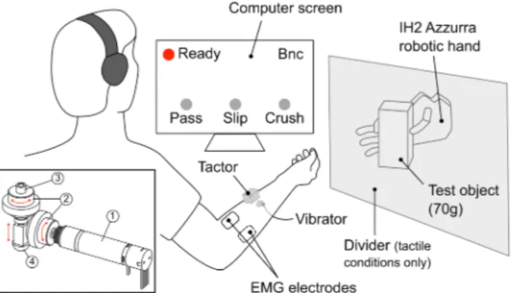 Fig. 1. Experimental setup. The subjects sat in front of a computer screen, and  controlled a robotic hand via two EMG electrodes on the forearm