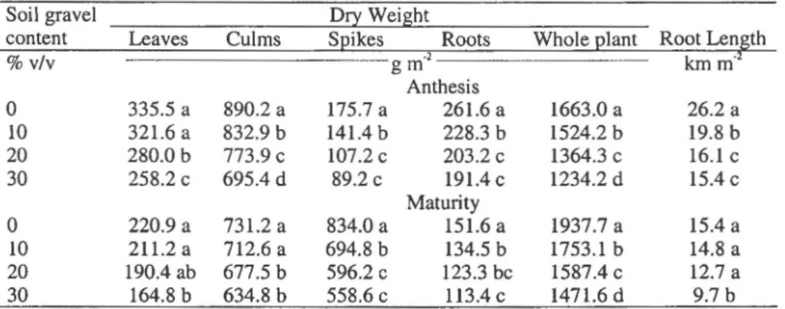 Table 2. Dry weight of leaves, culms, spikes, roots, and whole plant and root length at anthesis and at physiological maturity
