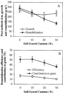 Figure 1. Influence of soil gravel content on post-anthesis dry matter growth and remobilization (A) and remobilization efficiency and contribution of dry matter to grain yield (B)