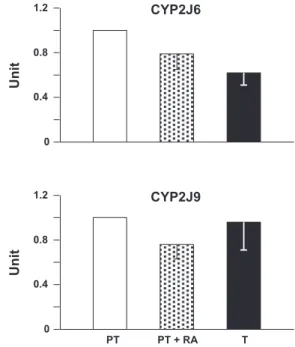 Table 1. Gene expression profile for CYP2C, CYP2J, CYP4A, and CYP4B subfamilies in the mouse ductus arteriosus