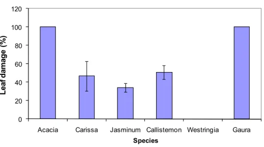 Fig. 1. Leaf damage percentage in different ornamental species exposed to marine aerosol  after 63 days