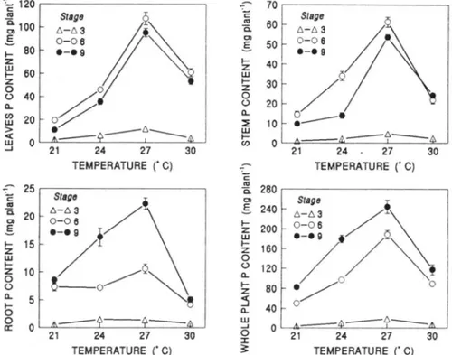 Table  1  shows  the  effect  of  temperature  on  whole  plant,  leaf,  stem ,  panicle,  and  root  P concentrations  in  Stages  3,  6,  and  9