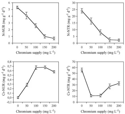 Fig. 3. Net uptake rates (NUR) of nitrogen and of chromium, and net translocation rates (NTR) of N and of Cr from the hypogeal to the aerial part of miscanthus plants treated for 36 days with Cr concentrations ranging from 50 to 200 mg L −1 