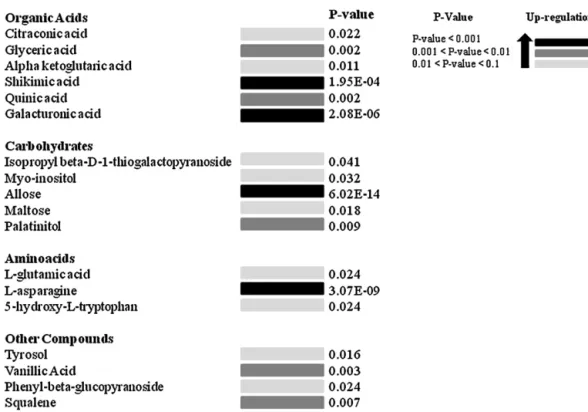 Fig. 4. List of metabolites showing signiﬁcant higher concentrations in IR compared to RF ripe fruit samples