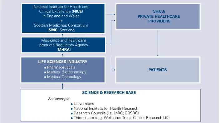 Figure 2.1: Structure of the Life Sciences Market in the UK 