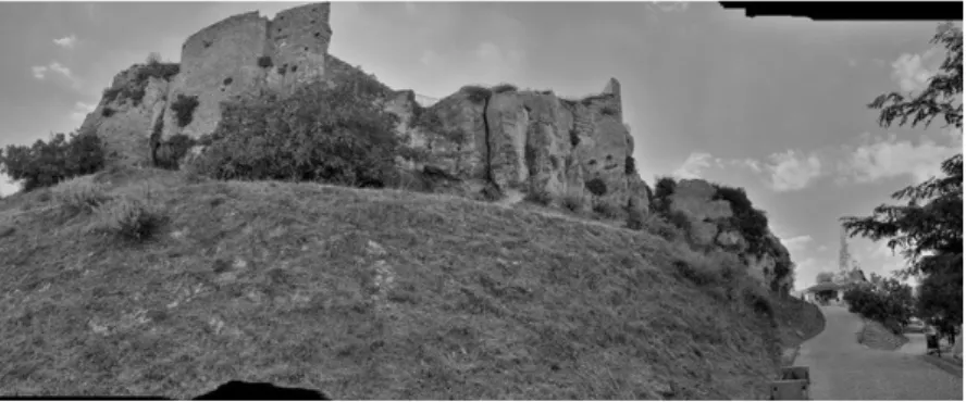 Figura 8. Assoro. Il castello. Vista panoramica (foto dell’Autore). 