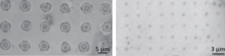 Fig. 11. – Optical images of ordered arrays of domes obtained by patterning the ﬂakes before proton irradiation