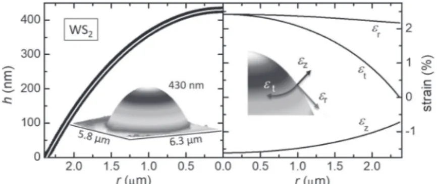 Fig. 8. – Left: experimental dependence of the dome height h on the distance from the centre r (black points) for a WS 2 dome