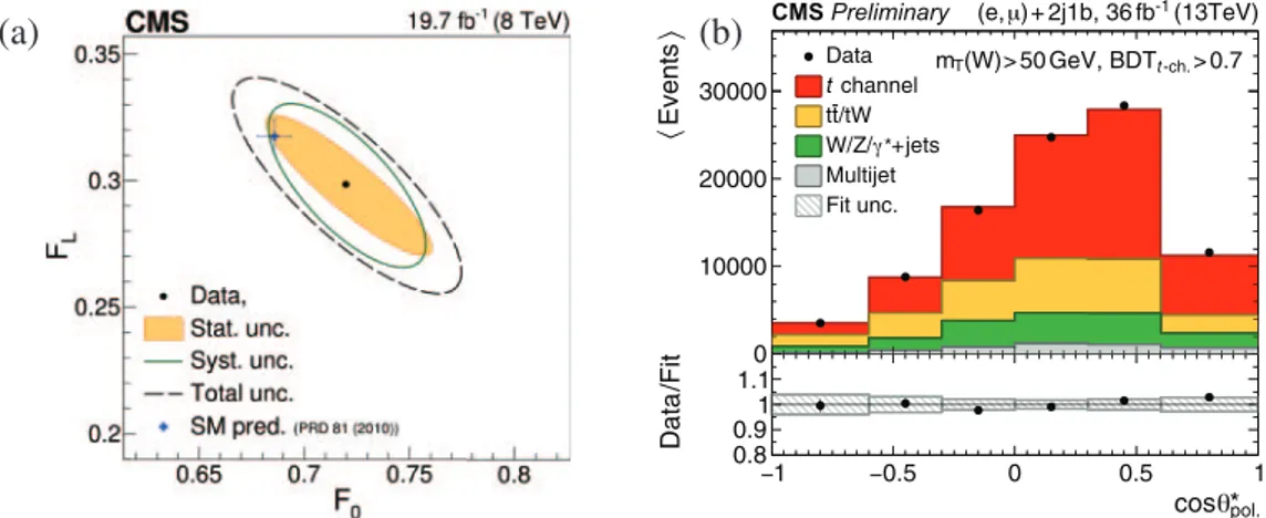 Fig. 2. – Combined results from the muon+jets and electron+jets events for the left-handed and longitudinal W boson helicity fractions, compared with the SM predictions (a) [4]