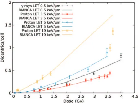 Fig. 1. – Mean number of dicentrics per cell as a function of dose induced by γ-rays of LET = 0.5 keV/μm and by protons having an LET of 3.5, 5 and 19 keV/μm