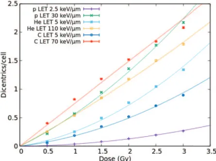 Fig. 5. – A selection of fully predicted dicentric dose-response curves for protons, helium ions and carbon ions.