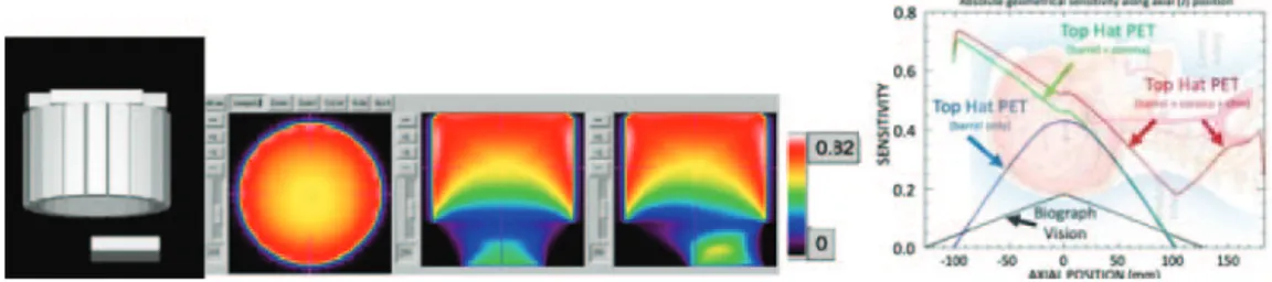 Fig. 10. – Left: graphical rendering of a simulated model for the Top Hat PET scanner