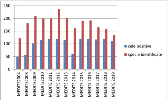 Figura  2  –  Abbondanza  di  specie  del  megabenthos  in  relazione  al  numero  di  cale  positive  per  benthos  esaminate nelle campagne di pesca a strascico MEDITS condotte nello Stretto di Sicilia (GSA 16) dal 2004 al  2019