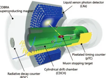 Fig. 1. – Experimental layout of the MEG II experiment.