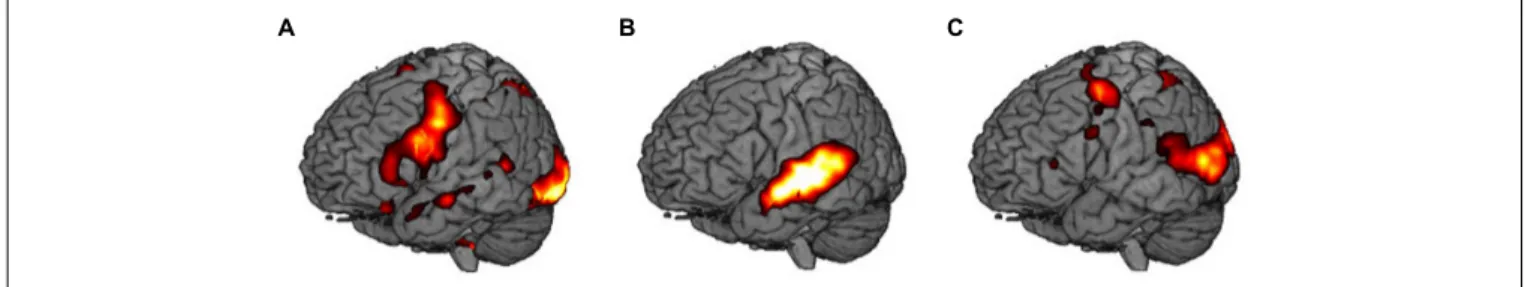 FIGURE 3 | Main contrasts in brain activity: (A) visual encoding, V vs. S, (B) audiovisual encoding, AV vs