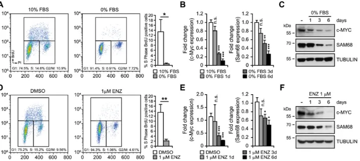 Figure 4. PCa cell growth arrest concomitantly induces c-MYC and Sam68 downregulation