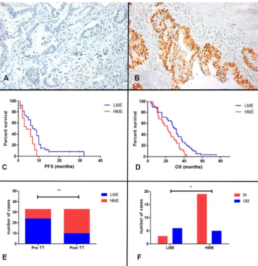 Figure 2. Panel (A) and (B). Immunohistochemical analysis of c-MYC protein expression