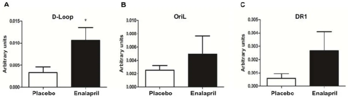 Figure 10. Determination of TFAM binding to mtDNA regions encompassing D-Loop (A), OriL (B)  and  DR1  (C)  in  heart  samples  of  old  rats  treated  with  placebo  (n  =  8)  or  enalapril  (n  =  8)