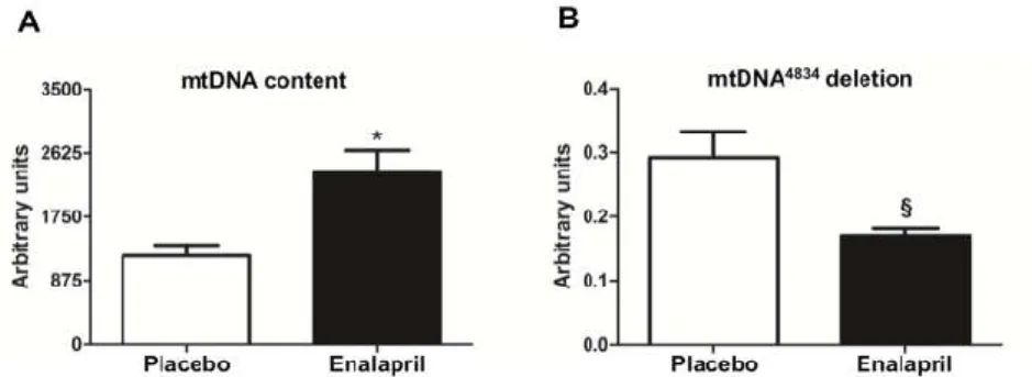 Figure 3. Determination of (A) mtDNA content and (B) mtDNA 4834  deletion abundance in heart samples  of old rats treated with placebo (n = 8) or enalapril (n = 8)