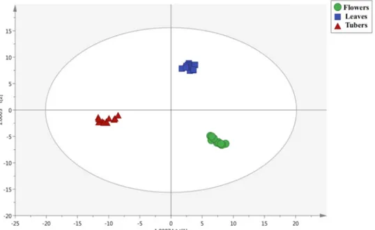 Figure 2. Orthogonal projections to latent structures discriminant analysis (OPLS-DA) score plot built  according to polyphenol and alkaloid profiling and considering the different plant organs (i.e.,  flowers, leaves, and tubers) as class membership crite