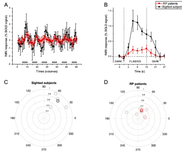 Figure 7. fMRI time course and its properties. (A) fMRI response as a function of time for the RP (red) and sighted (black) group shown for the entire length of the run and averaged across periods of repetition (right)