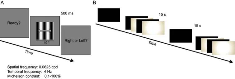Figure 2. Psychophysical and fMRI paradigms. Examples of the visual stimuli presented in the psychophysical (A) and fMRI (B) experiment