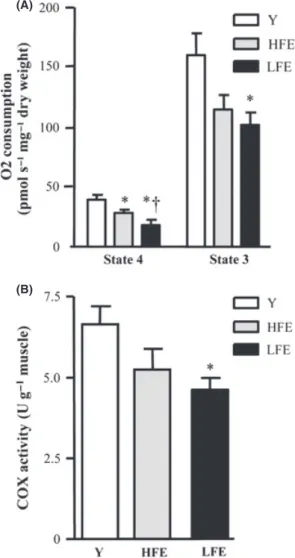 Fig. 1 Mitochondrial bioenergetics in muscle from young and functionally distinct elderly individuals