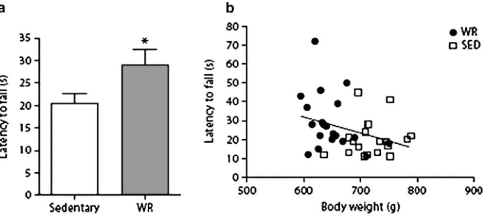 Figure 2.  Latency to fall (a) from an incline plane in 24-month-old F344BN male rats that were wheel running for 2 weeks (n = 20) or were sedentary (n = 19)