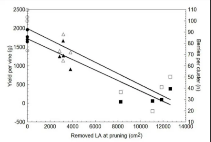 FIGURE 9 | Relationship between leaf area removed at winter pruning and yield per vine (solid symbols) and total number of berries per cluster (empty symbols)
