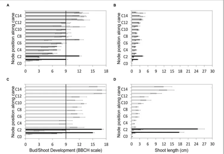 FIGURE 2 | Gradient of canopy growth along the cane recorded for the three pruning treatments before late winter pruning (LWP) (top panels) and very late winter pruning (VLWP) (bottom panels)