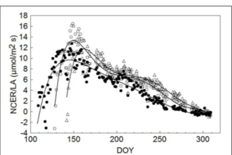 FIGURE 8 | Seasonal net carbon (C) accumulation (A) derived from the canopy photosynthesis monitoring for SWP (solid line), LWP (broken line) and VLWP (dotted line)