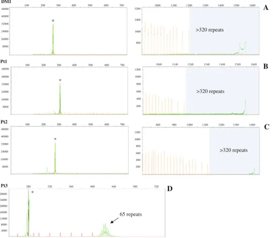 Fig. 3 Chromatograms of fluorescent PCR performed on leukocytes DNA from pts 1–3 and one DM1 patient