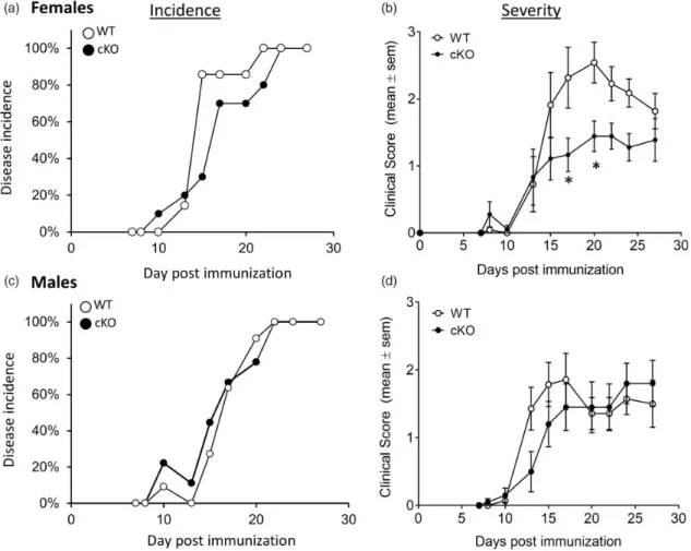 Figure 3. CRMP2 cKO reduces EAE severity. WT and CRMP2 cKO mice were immunized with MOG 35–55 peptide