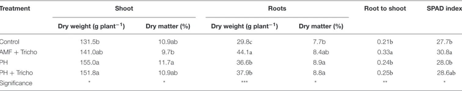 TABLE 1 | Effect of seed treatments with a consortium of arbuscular mycorrhizal fungi (AMF), Trichoderma koningii TK7, and rhizosphere bacteria or with a consortium of Trichoderma koningii TK7 and rhizosphere bacteria (Tricho) plus a protein hydrolyzate-ba