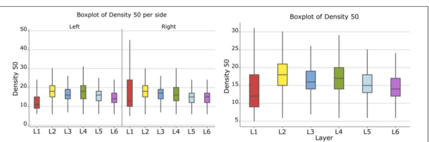 FIGURE 9 | Boxplots comparing the density of cells in L1 (blue), L2 (red), L3 (yellow), L4 (green), L5 (orange), L6 (light blue)