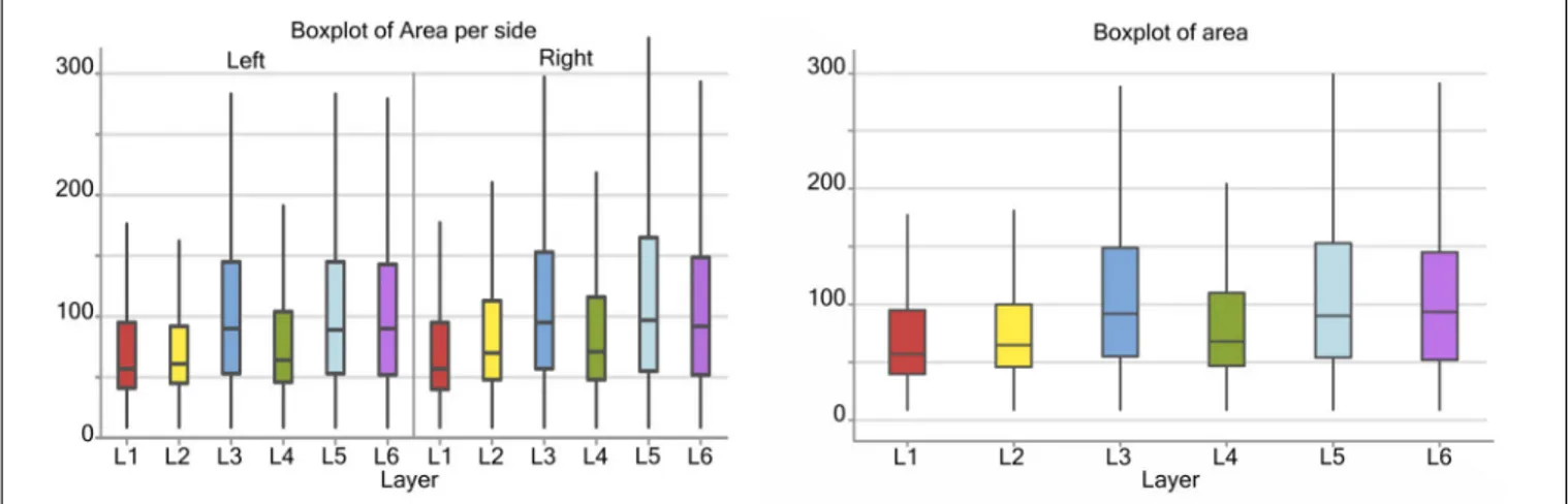 FIGURE 3 | Boxplots of the cell area of L1 (red), L2 (yellow), L3 (blue), L4 (green), L5 (light blue), L6 (purple)