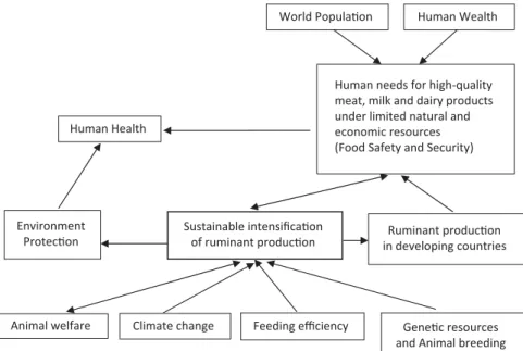 Figure 1. Diagram of factors involved in the process of sustainable ruminant production to feed the planet.