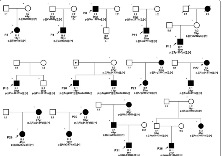 Fig. 4  Distribution of BEST1 variants found in our patients. Graphical representation of the distribution of BEST1 variants throughout the gene