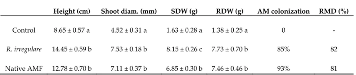 Table  1.  Growth  parameters  measured  on  Eriobotrya  japonica  plants  in  sandy  soil  after  12  months  growth (height, shoot diameter (diam.), shoot dry weight (SDW) and root dry weight (RDW), and  percentage of arbuscular mycorrhizal root coloniza