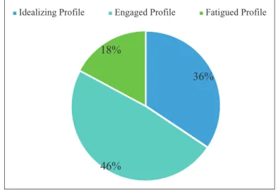 Figure 1. Percentages of professional profiles in total.