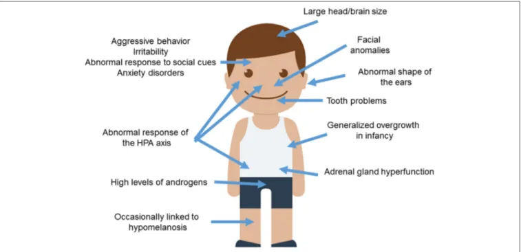 FIGURE 1 | Anomalous presentation of domesticated traits in people with ASD. Main clinical features observed in ASD patients and concerning the domestication syndrome are shown