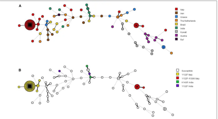 FIGURE 3 | Minimum spanning tree analysis based on the microsatellite genotypes from 115 Candida parapsilosis isolates