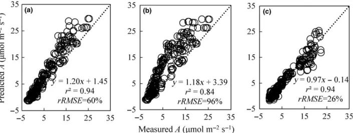 Fig. 6 Results of model validation against the data measured net photosynthesis rate (A) in the TN-trial