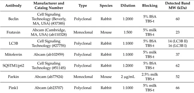 Table 1. Technical specifications of the primary antibodies used for Western immunoblotting.